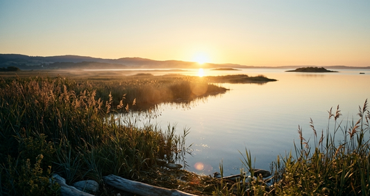 How Much Higher Can You Bid and Still Get the Job?